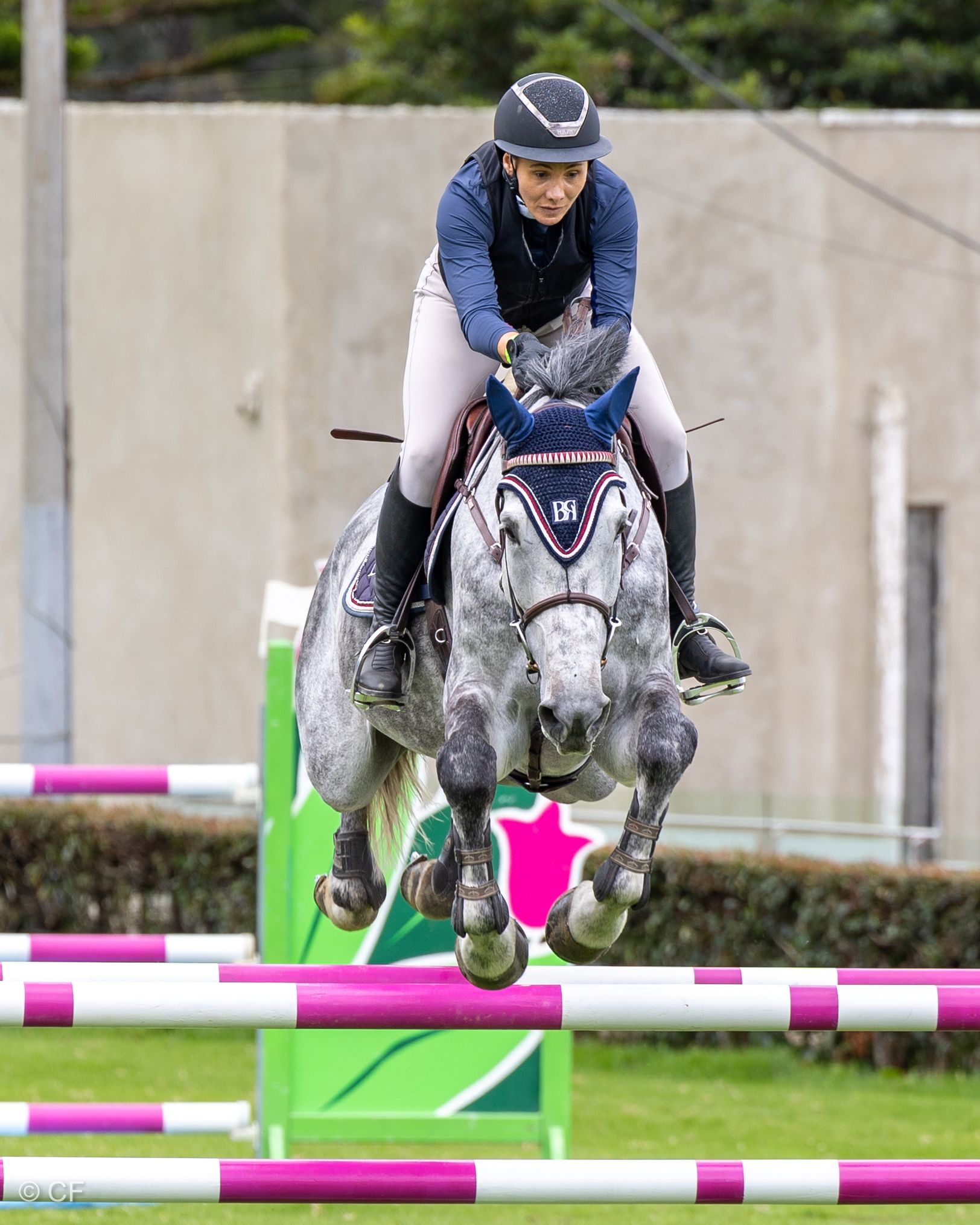A woman is riding a horse over a hurdle.