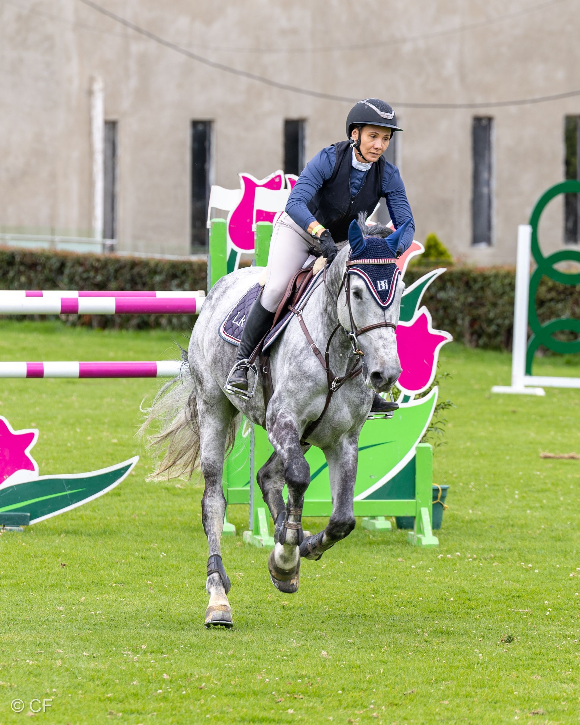 A person is riding a horse in a field.