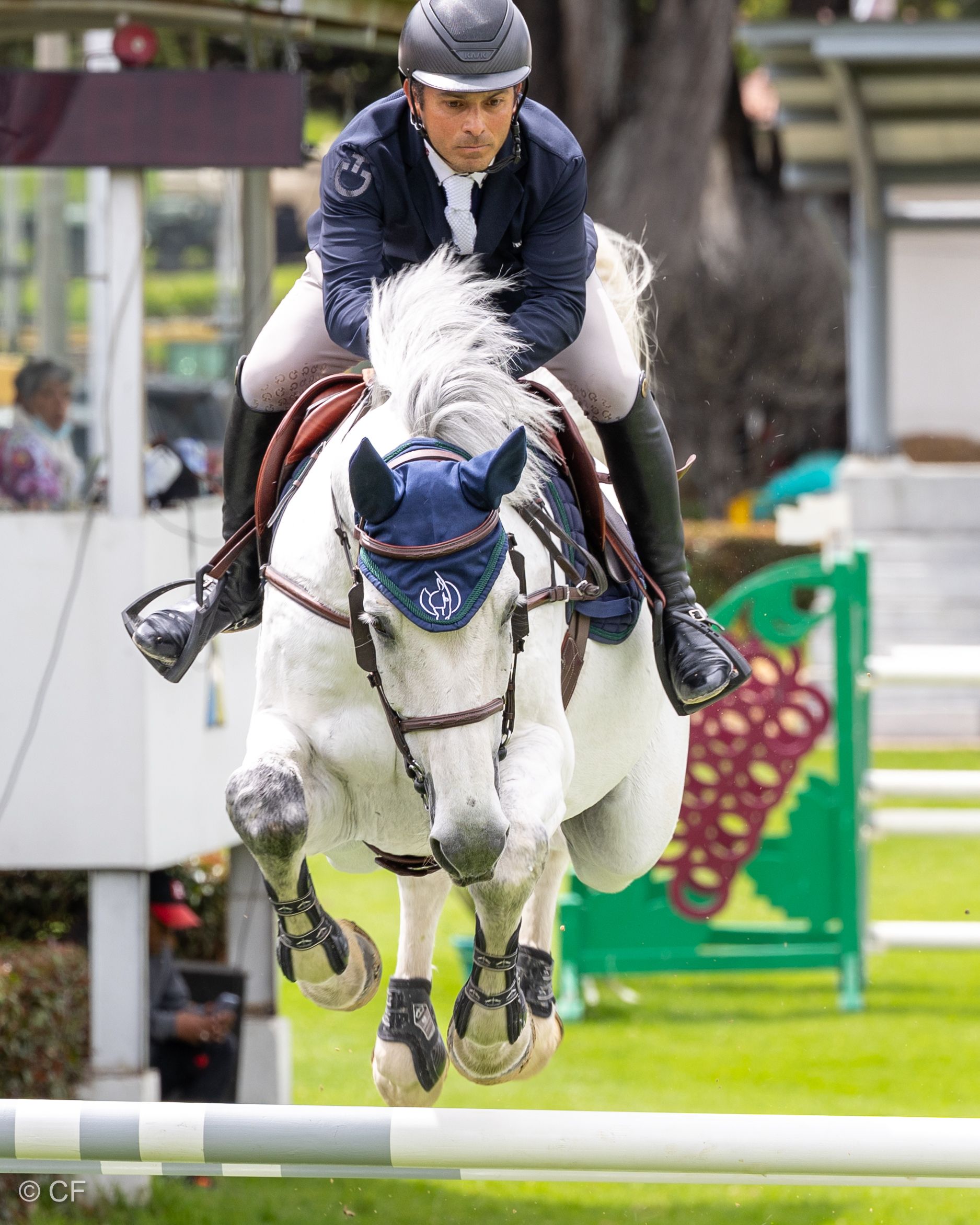 A man is riding a white horse over a hurdle.