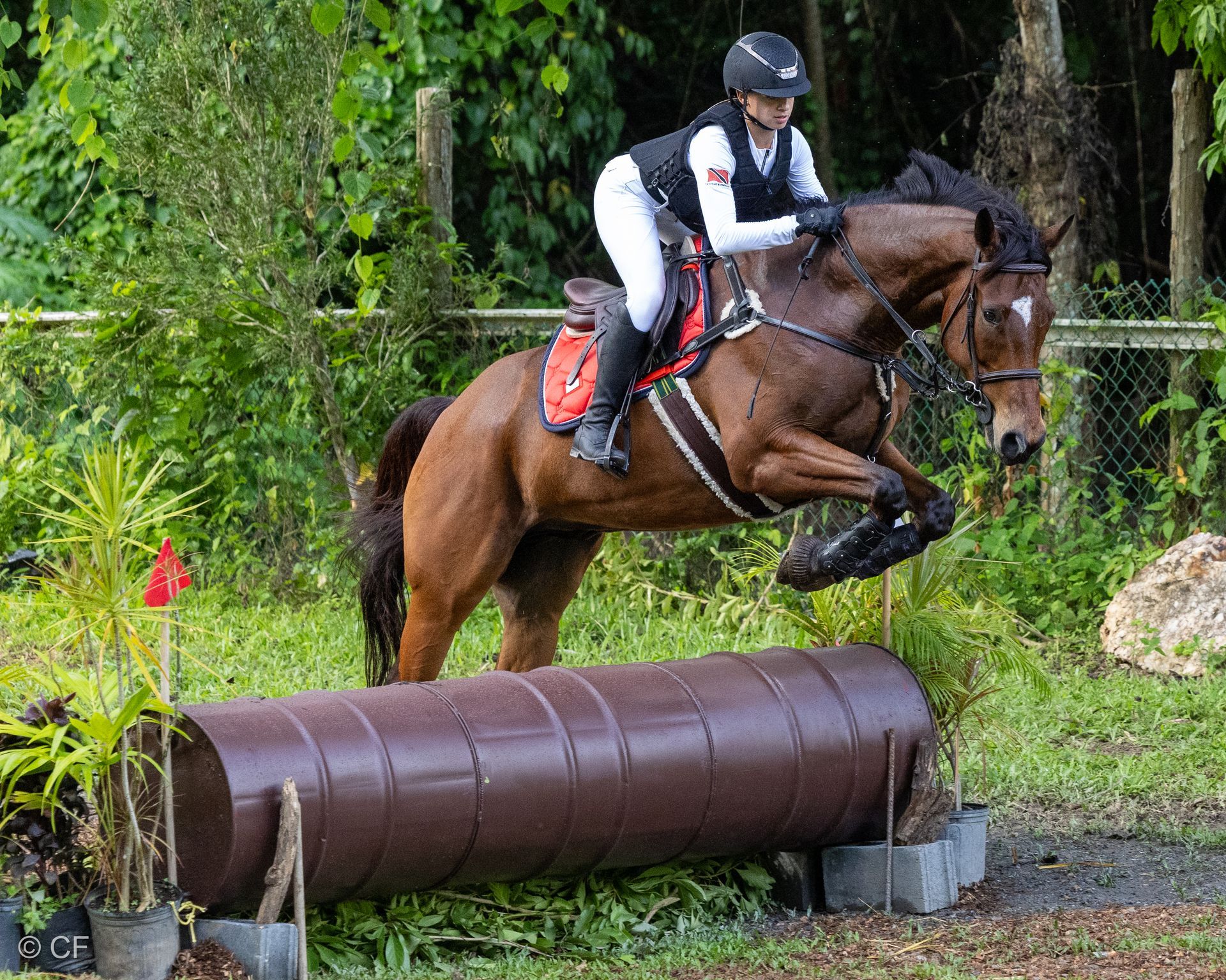 a young girl is riding a black horse