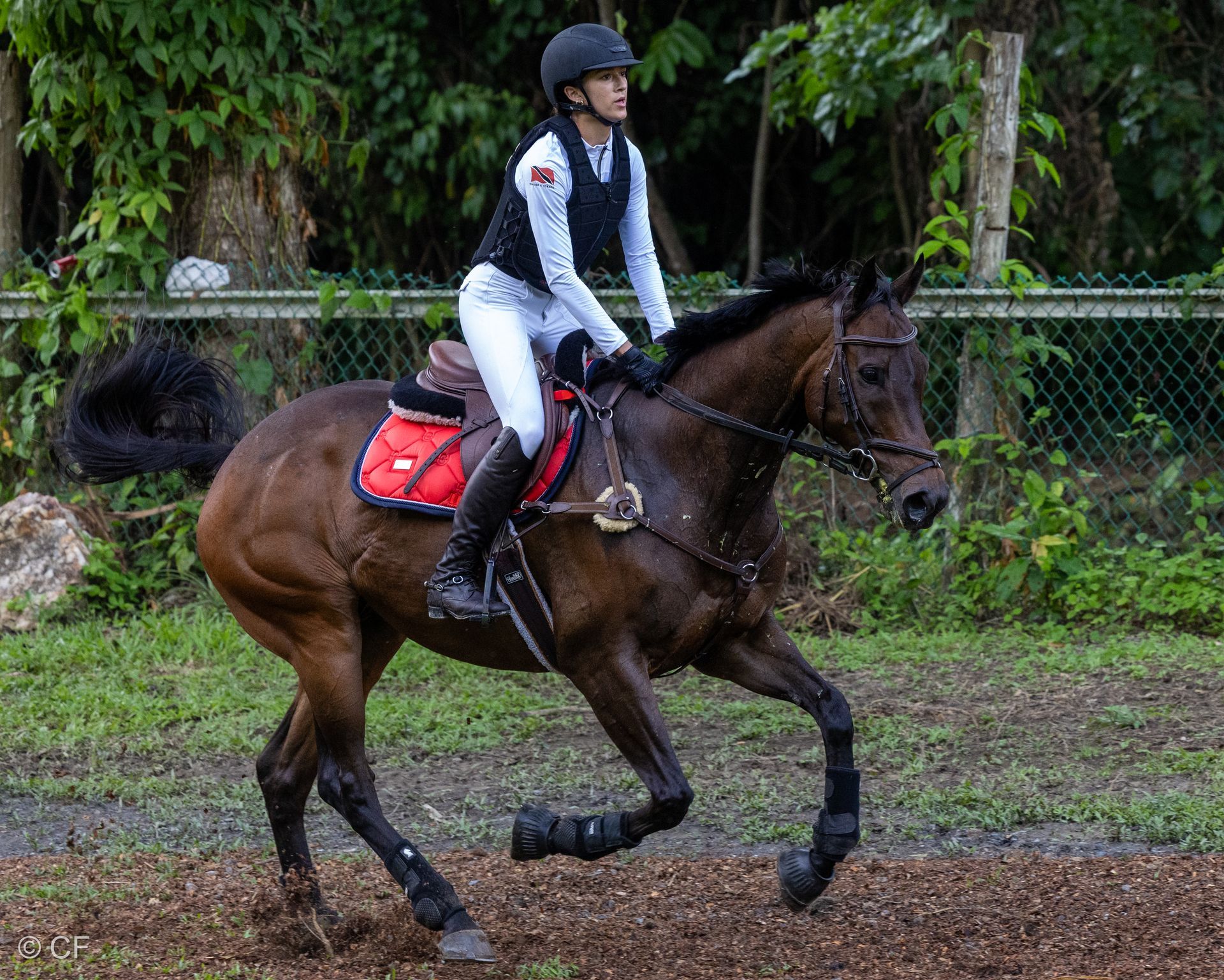 a person riding a brown horse