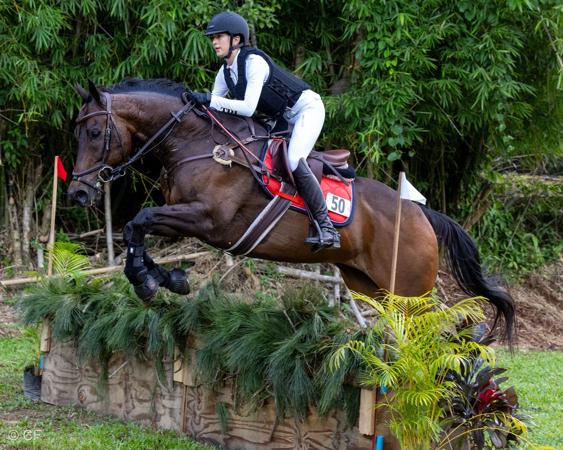 a young person riding a horse with a blue saddle pad
