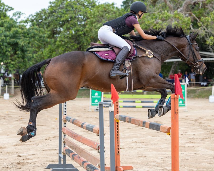 a person riding a brown horse
