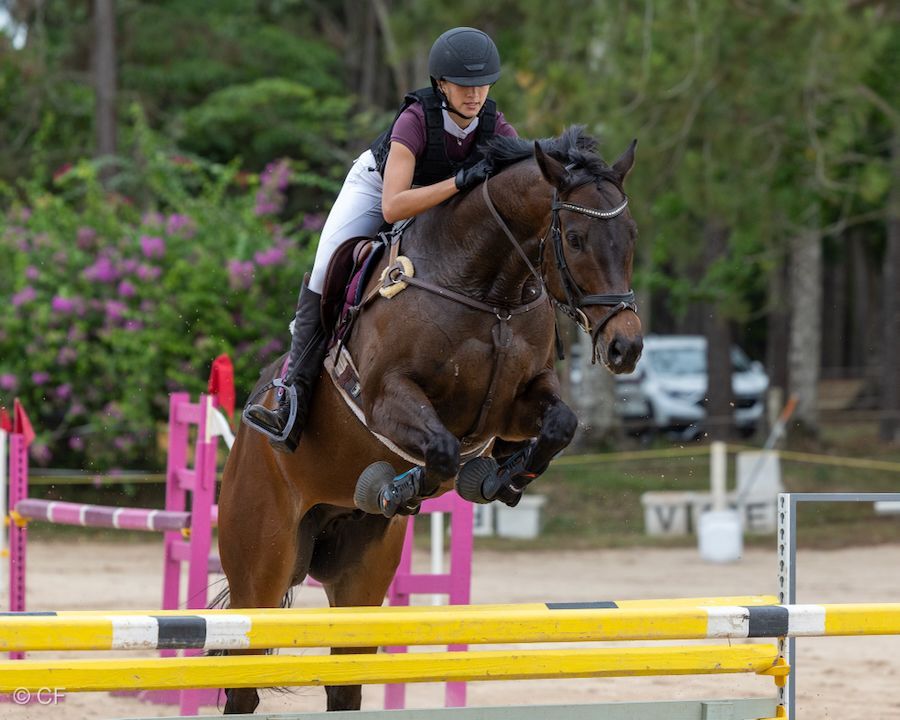 A woman is riding a horse over a jump.