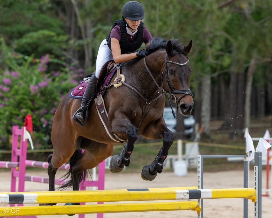 a young girl is riding a black horse