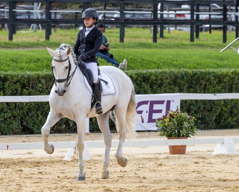 A woman is riding a white horse on a dirt track.