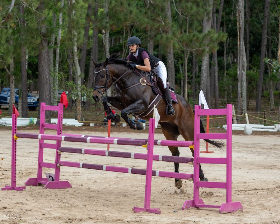 a young person riding a horse with a blue saddle pad