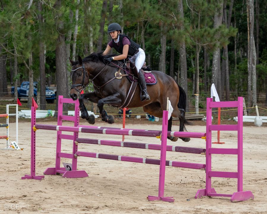 A woman is riding a brown horse in a ring.