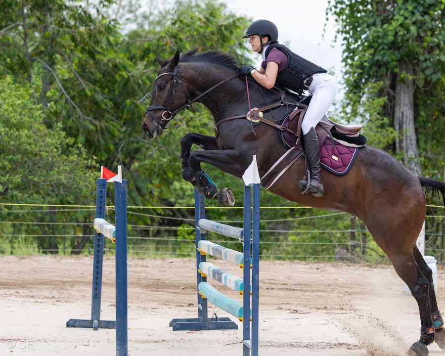 A woman is riding a horse over a red and white hurdle.