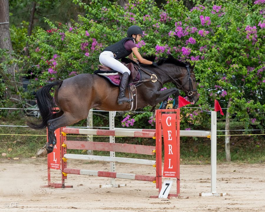 A woman is riding a horse in a fenced in area.