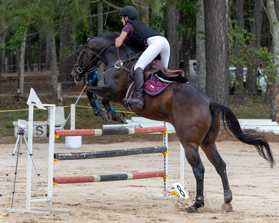 A person on a horse jumping over a hurdle with cerl signs in the background