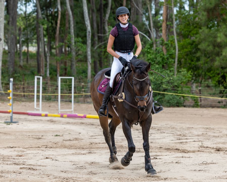 A woman is riding a horse over a hurdle