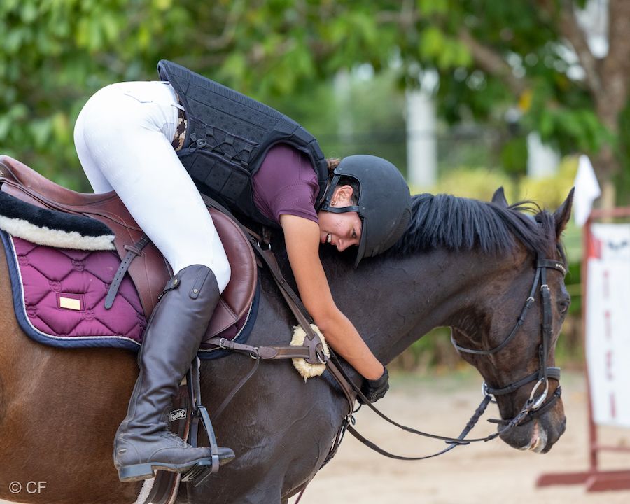 A woman is riding a horse over a hurdle.