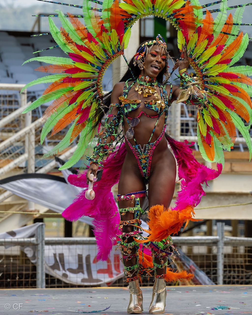 a man in a colorful bird costume is standing on a street .