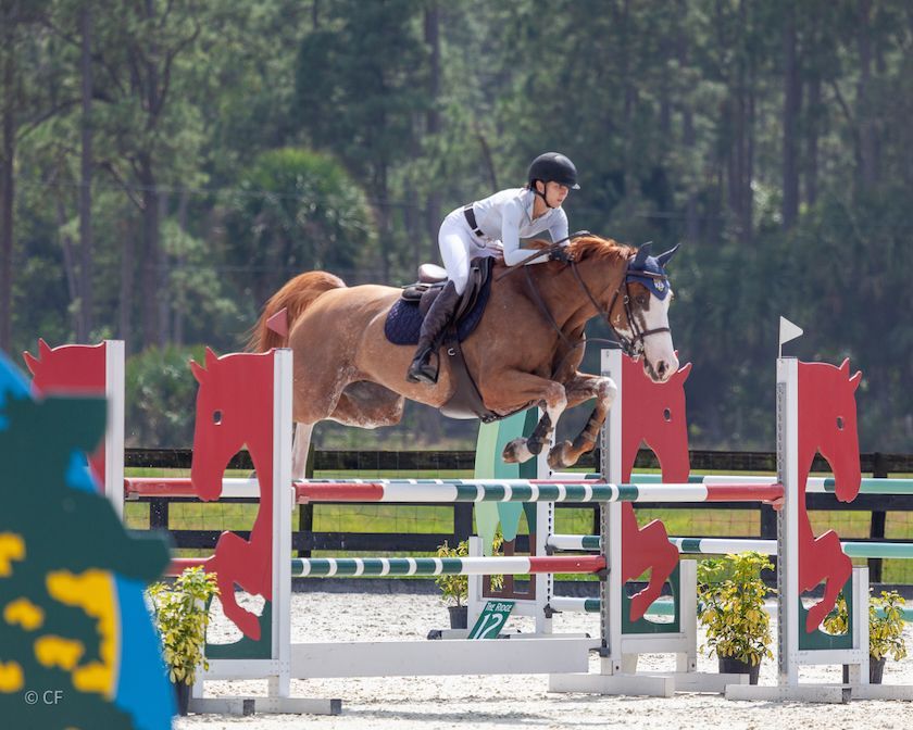 A person is riding a brown horse over a jump.