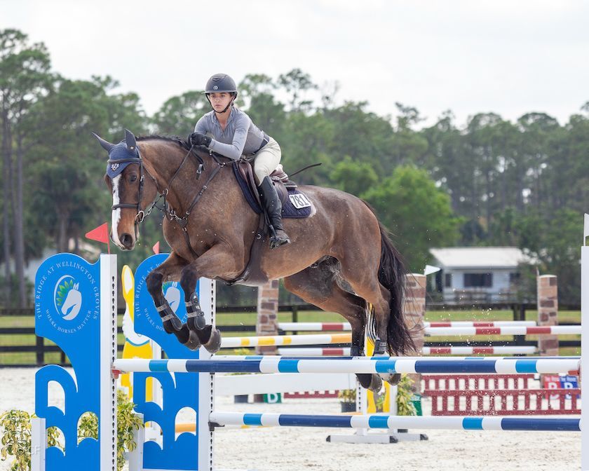 A woman is riding a horse over a jump.
