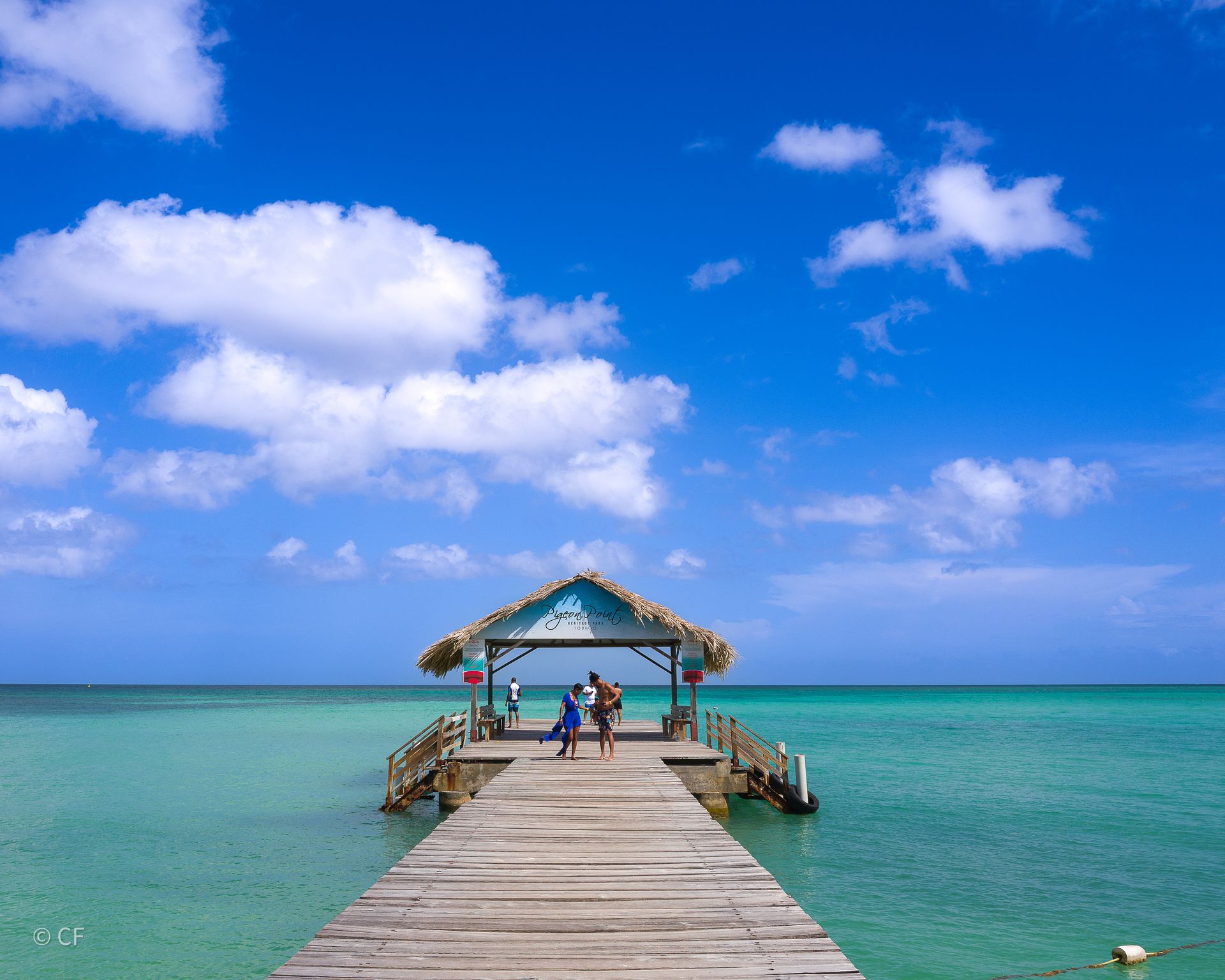 A wooden pier leading into the ocean with a thatched roof