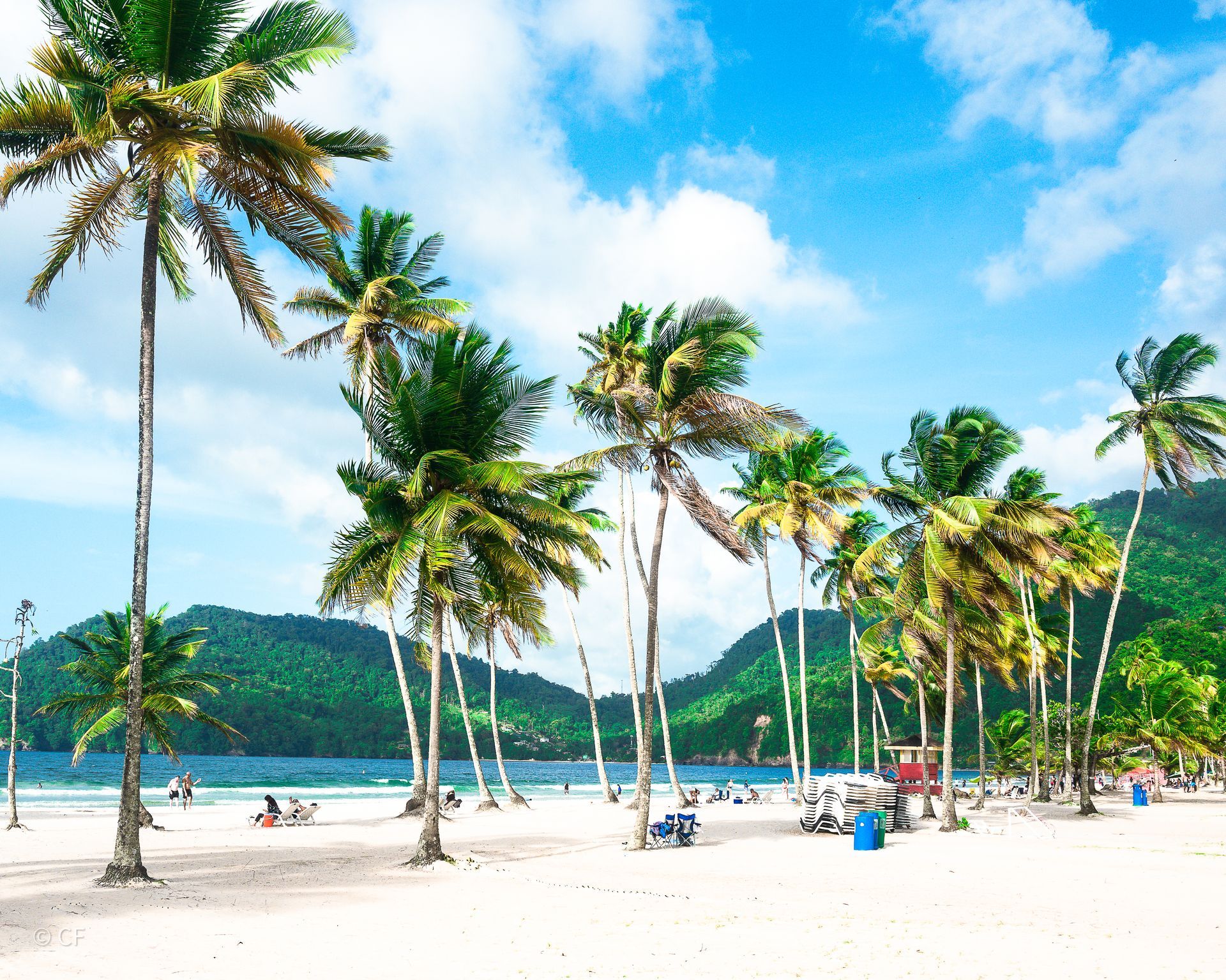 A beach with palm trees and mountains in the background