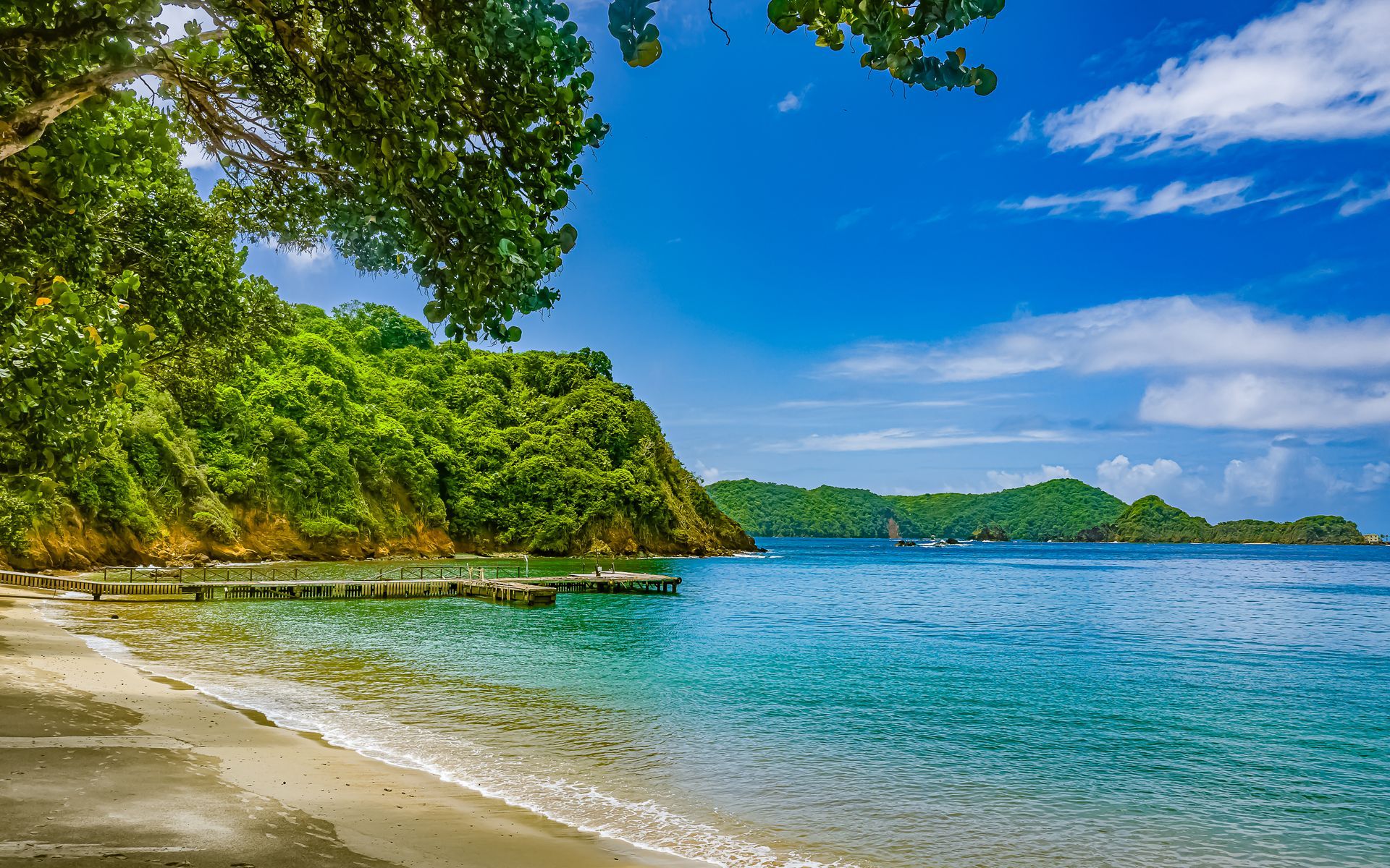 A beach with trees and a body of water on a sunny day.
