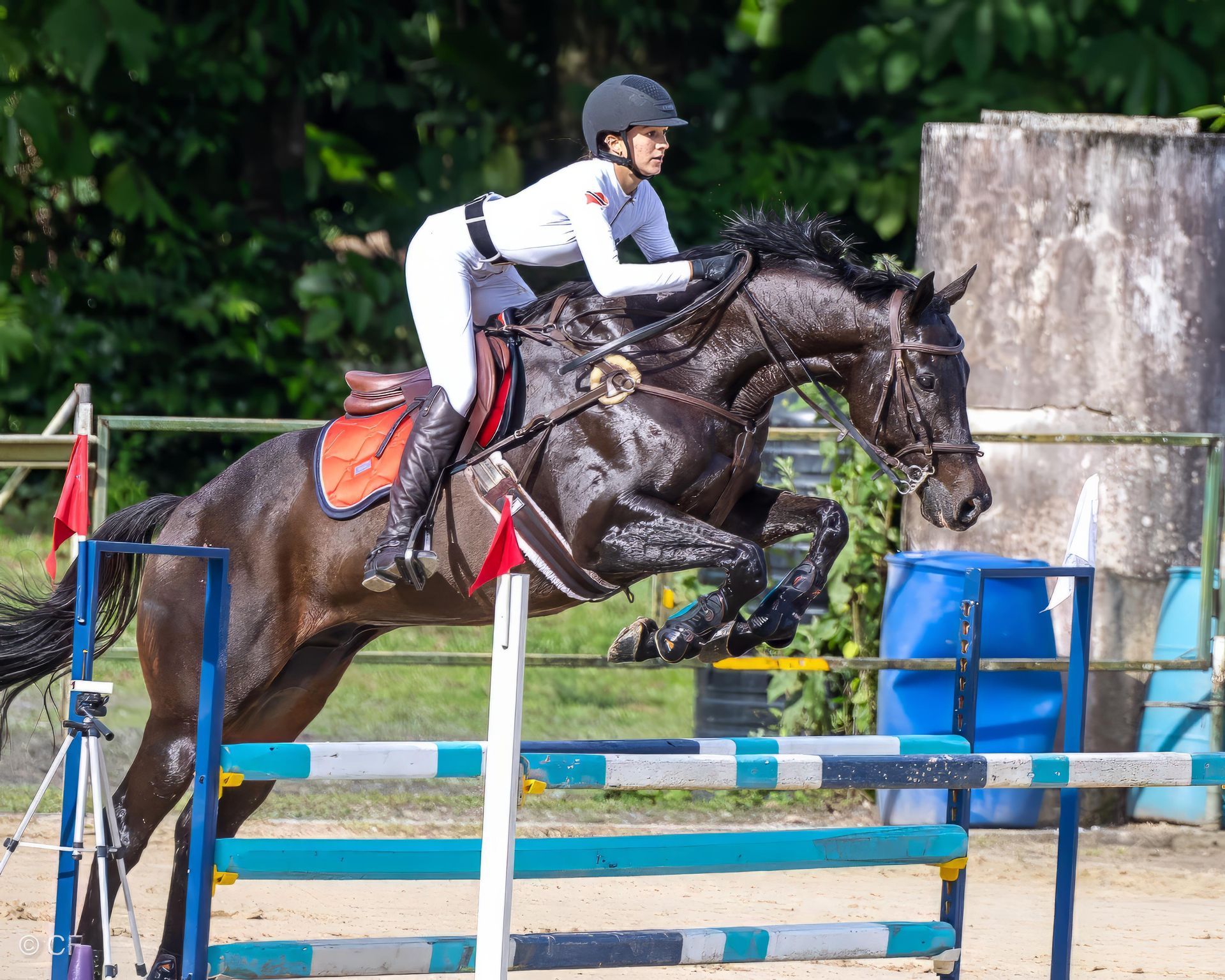 a young girl is riding a black horse