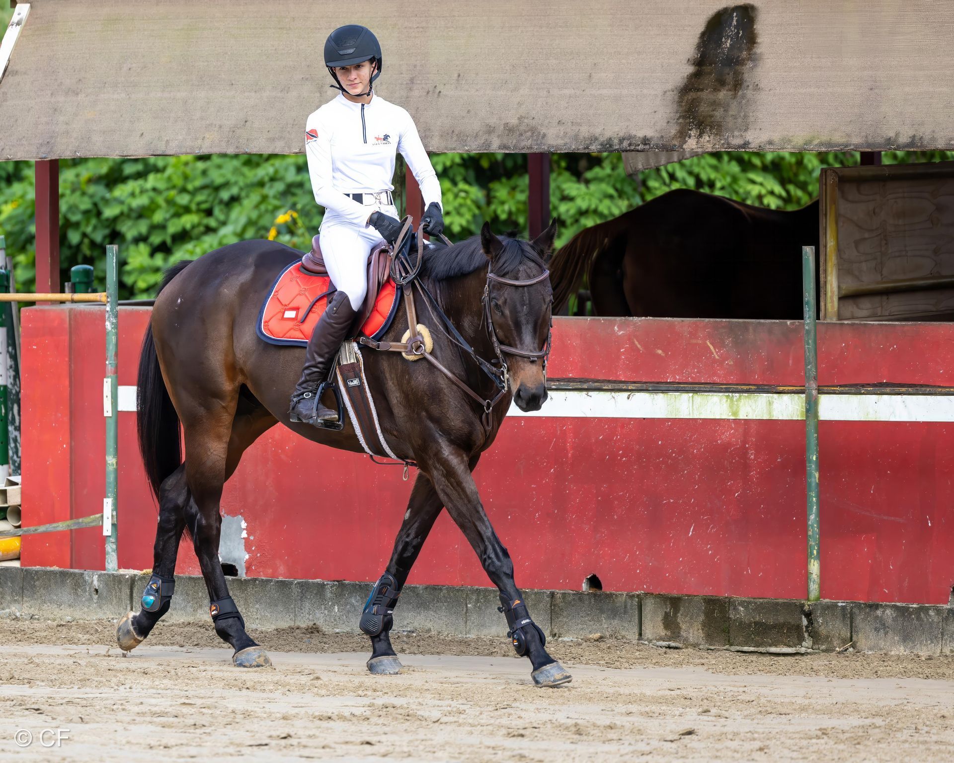 a person riding a brown horse