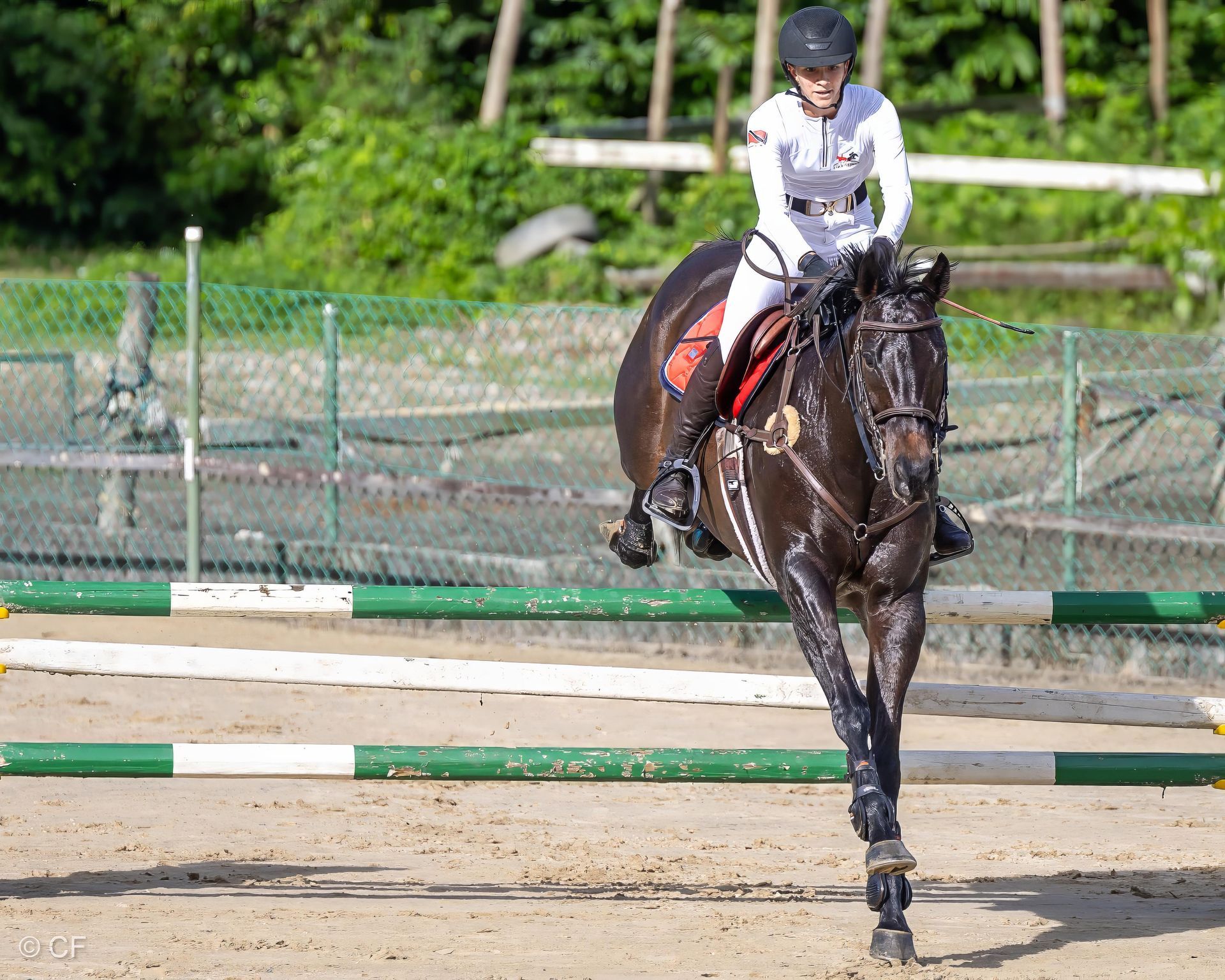 a young person riding a horse with a blue saddle pad
