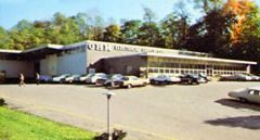 Low, white commercial building with parked cars in front, under trees on a sunny day
