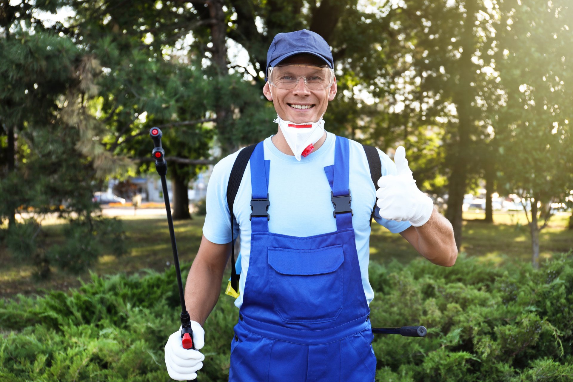 Quality Pest Control Careers in Memphis Dart Pest Control