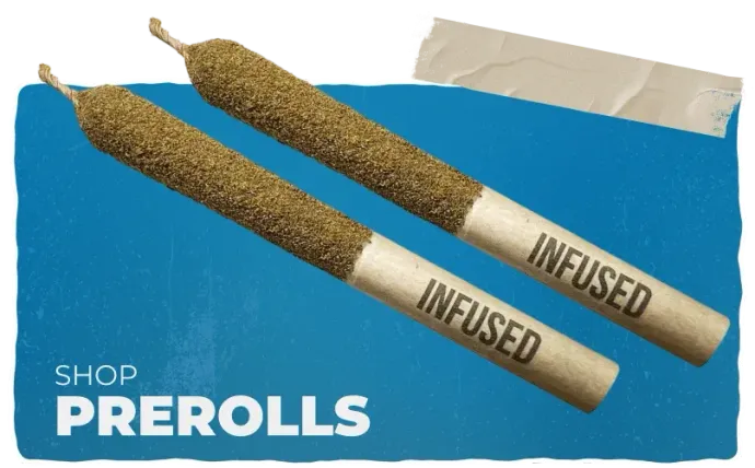 Two prerolls on blue background with “SHOP PREROLLS” text and one in a clear sleeve labeled “INFUSED”