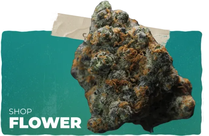 Image of a cannabis bud, with the text 