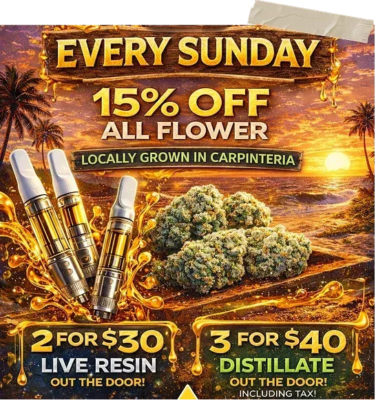 Cannabis sale flyer: every Sunday, 15% off all flower, locally grown in Carpinteria, with live resin and distillate deals