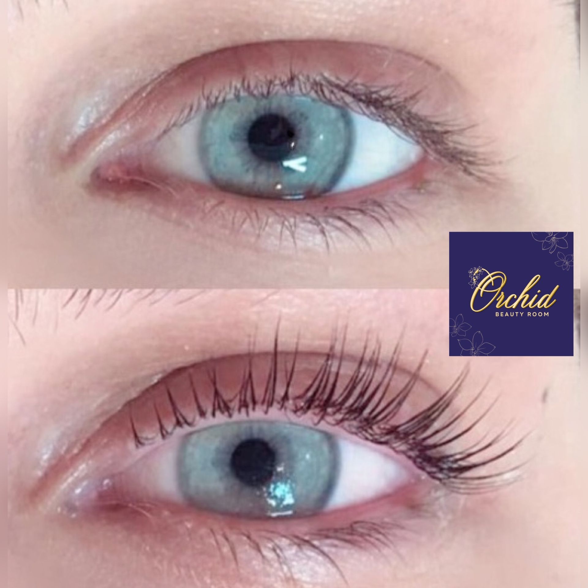 LashBomb, Lash Lift, Lashes, Lash Perm, Eyelashes