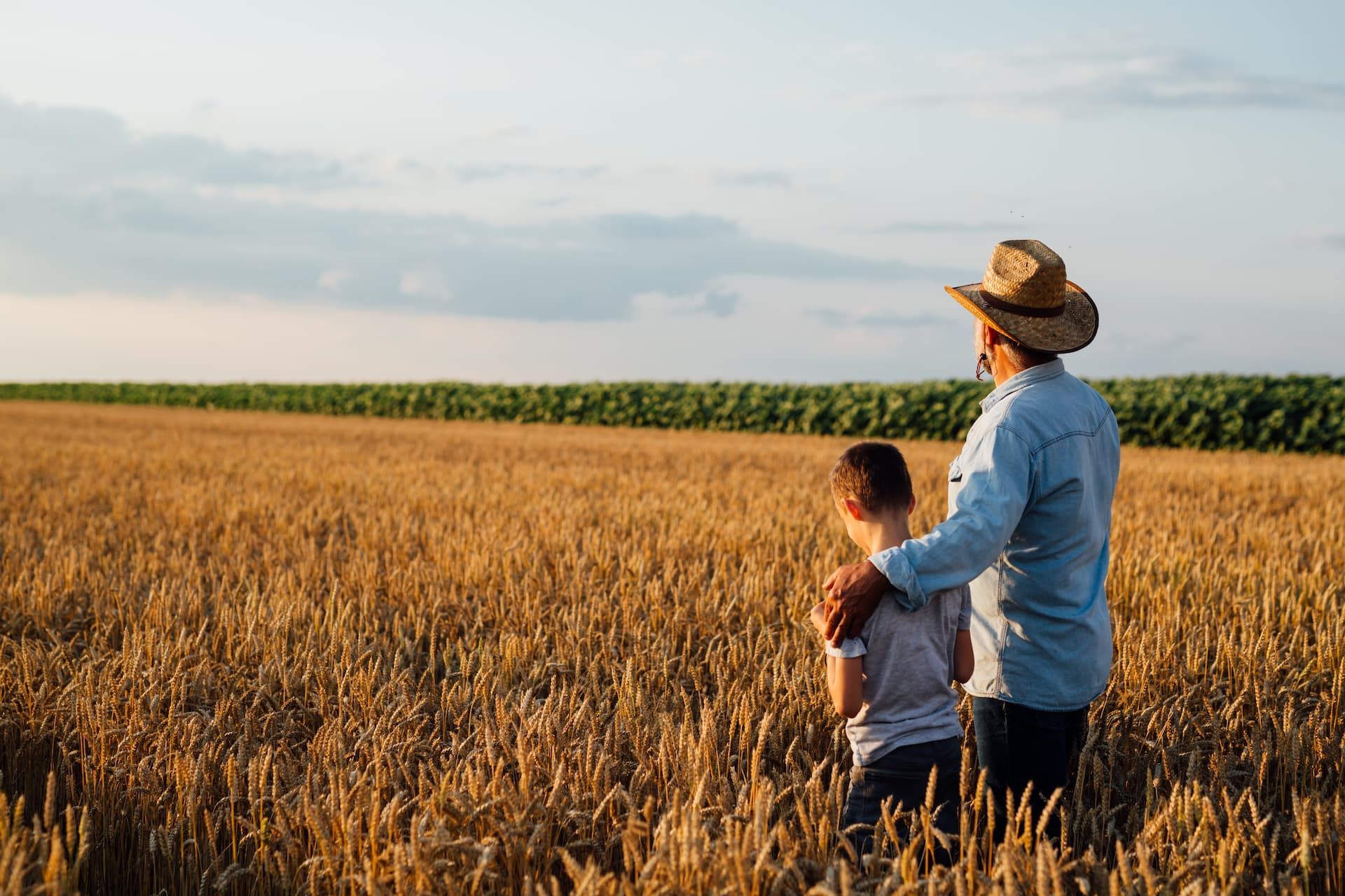 Man in straw hat with arm around a child, looking at a golden wheat field under a blue sky.