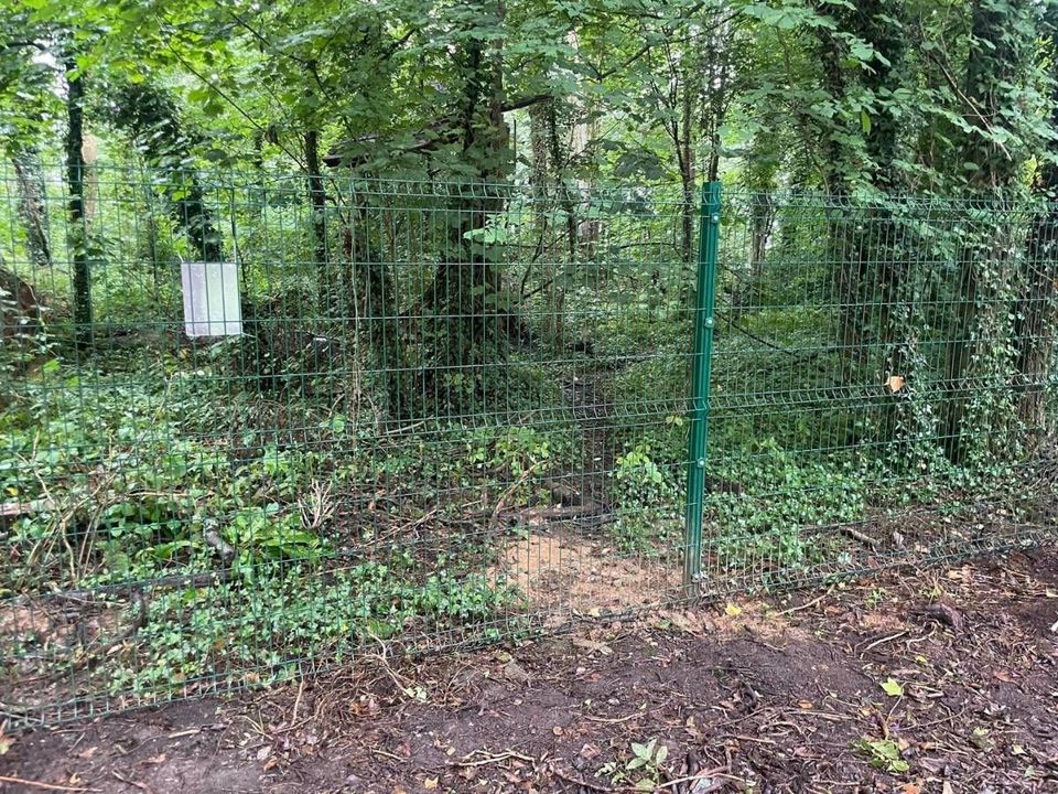 Green V mesh security fencing along a wooded boundary in Cardiff