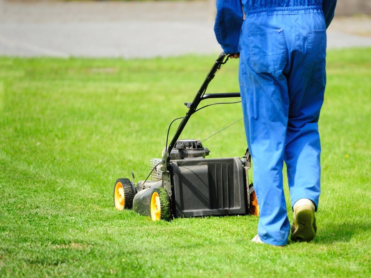 J&Z Fencing Cardiff mowing a lawn