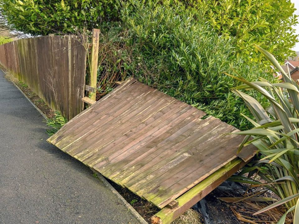 Storm-damaged timber fence panel blown over beside a pavement in Cardiff