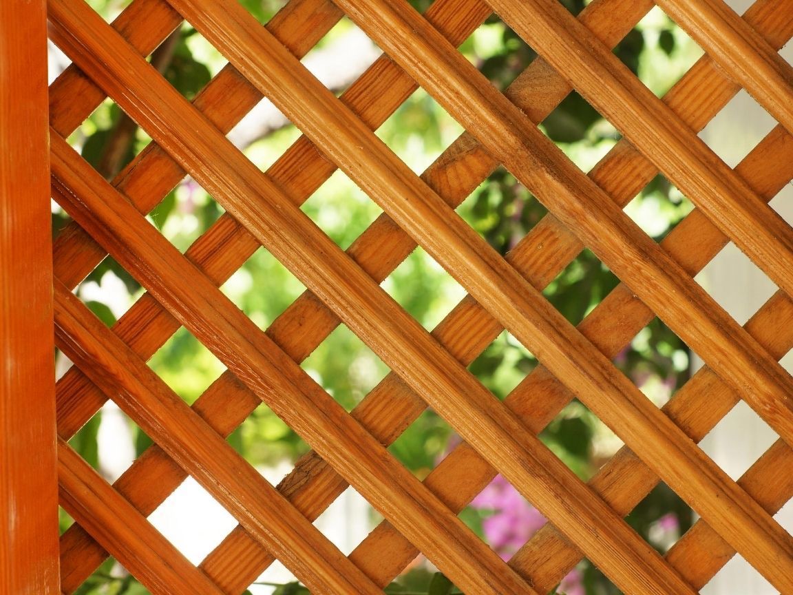 J&Z Fencing close up of trellis fencing