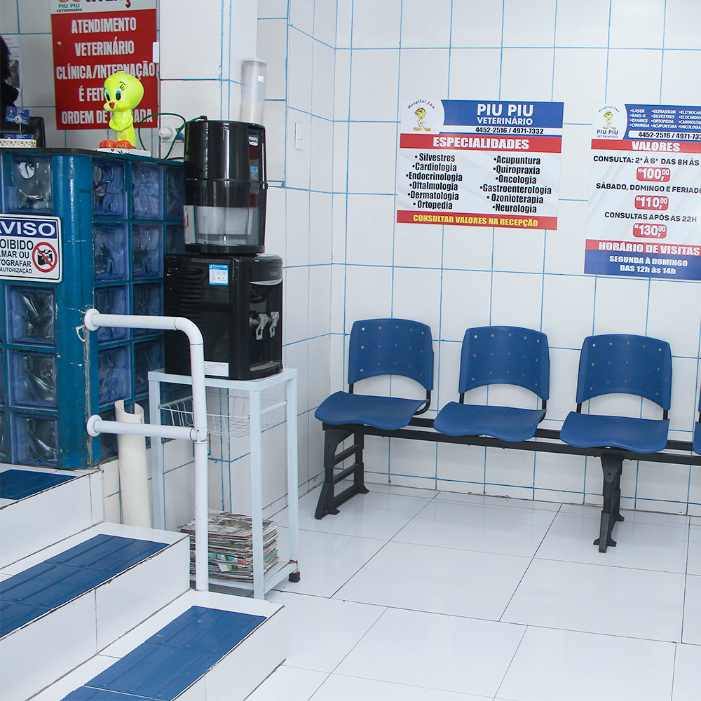 Hospital Veterinário 24 horas Piu Piu - Clínica Veterinária e Hospital ...