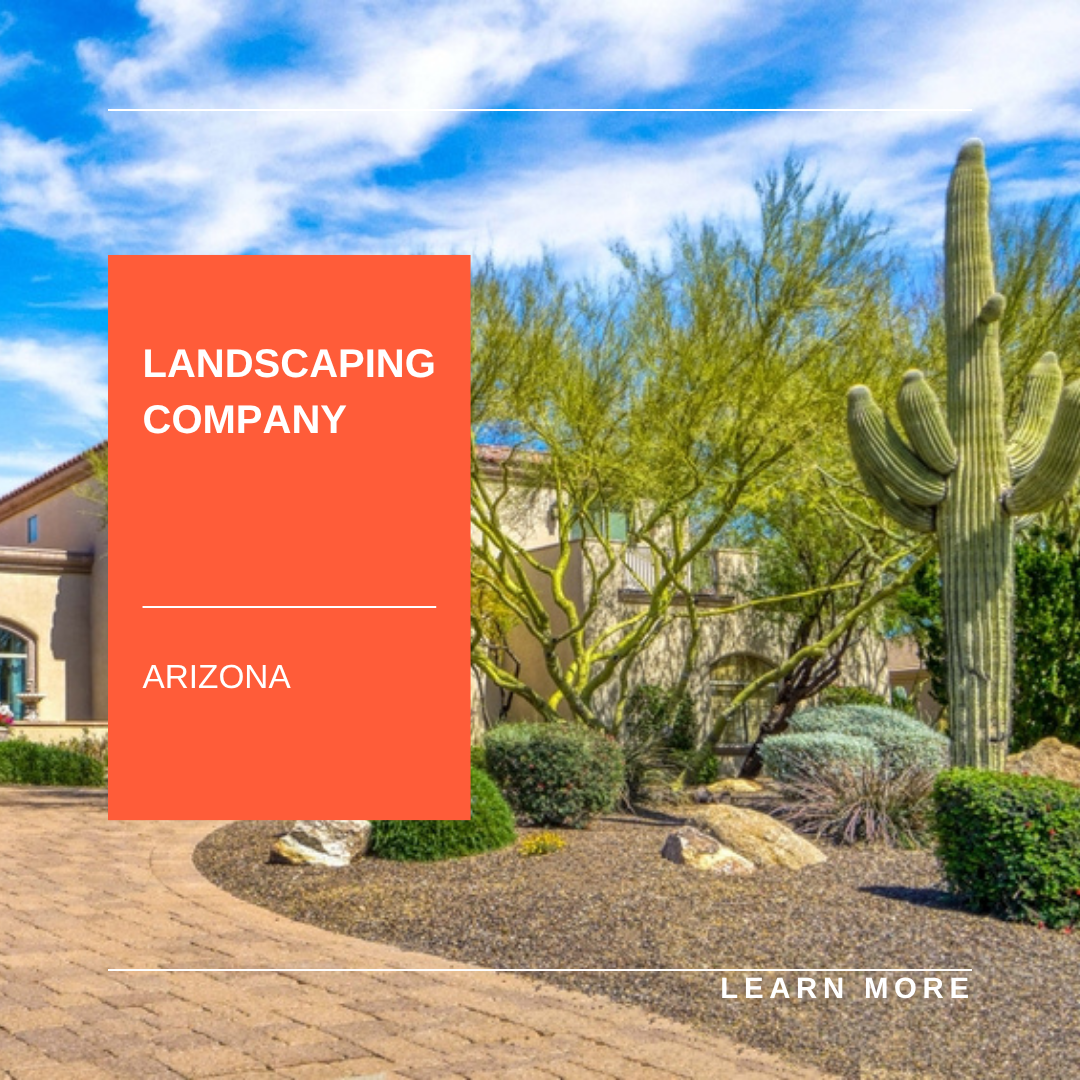 Orange landscaping company ad over a desert yard with cactus and a “Learn More” button, Arizona recommended