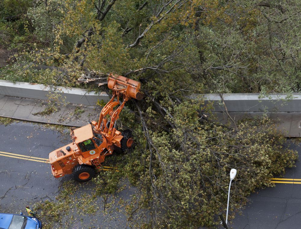 Orange Loader Clears Tree Debris From a Road. Green Leaves and Branches — Summit Tree Services in Glenwood, QLD