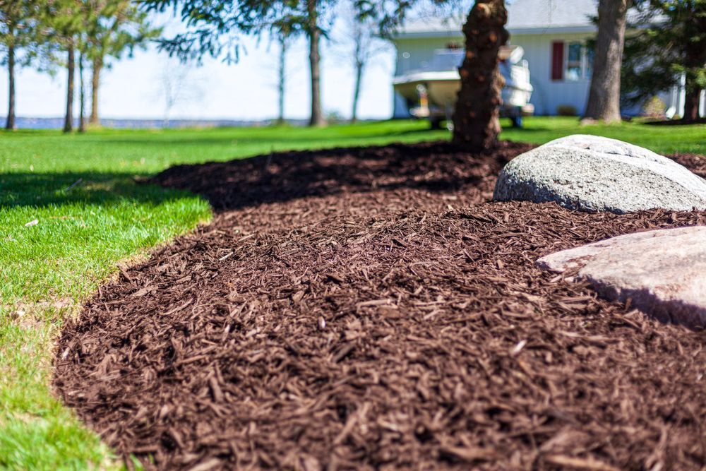 Brown Mulch Bed Bordering Green Lawn With Tree and House in the Background — Summit Tree Services in Palmwoods, QLD
