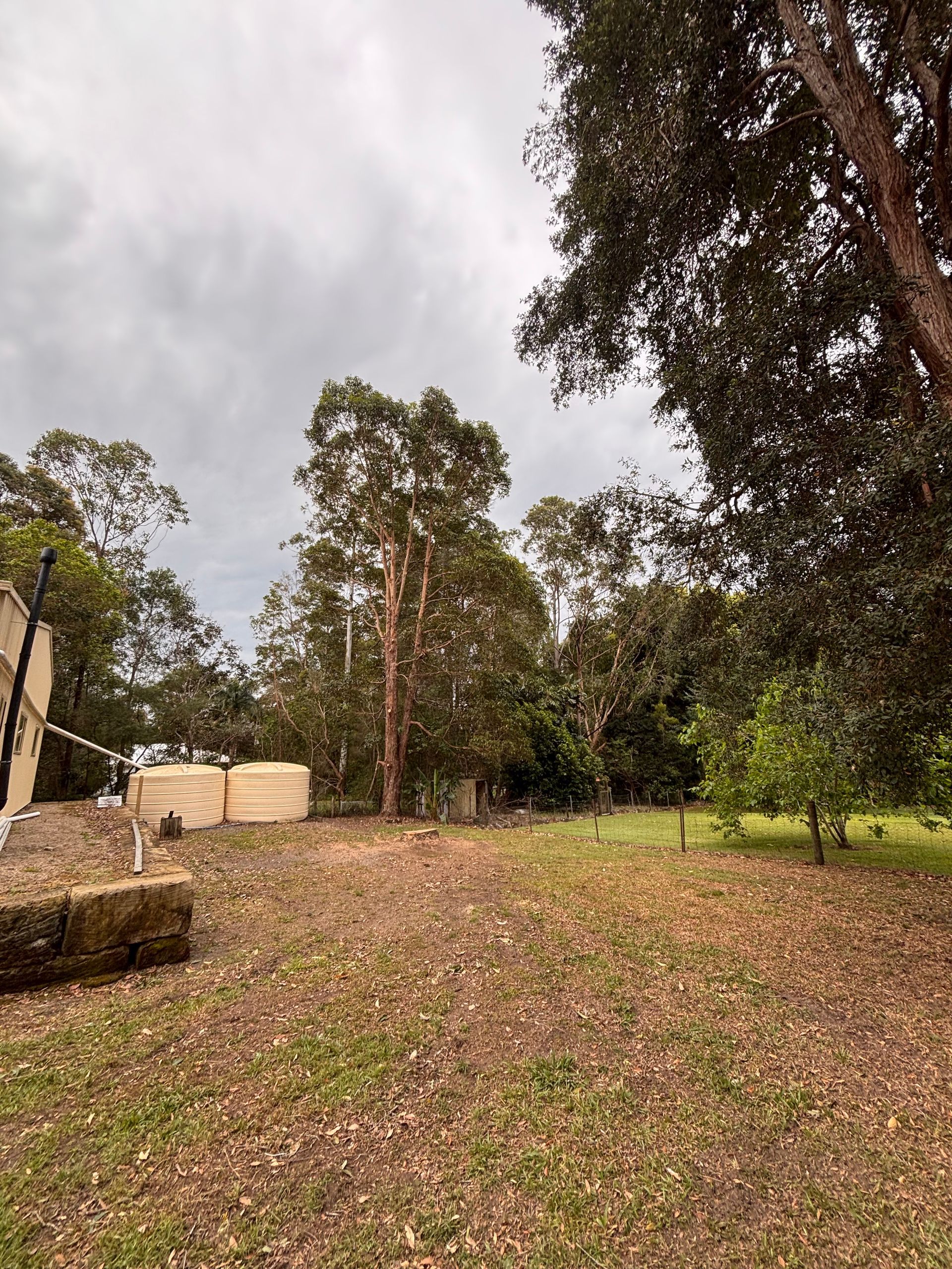 Grassy Yard With Trees Under a Sky, Water Tanks Sit Beside a Building on the Left — Summit Tree Services in Kawana, QLD