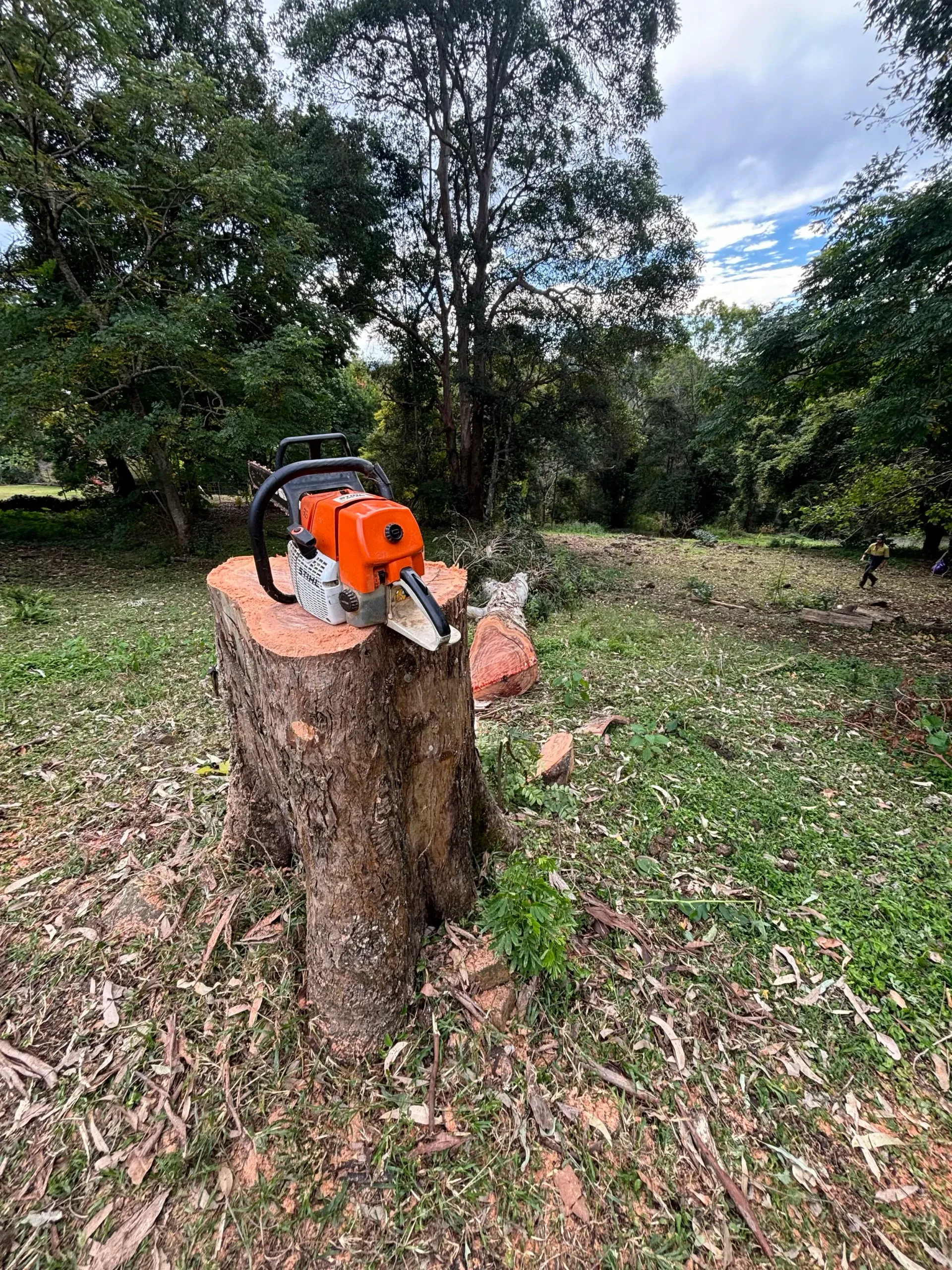 Chainsaw on a Tree Stump in a Grassy Clearing With Trees in the Background — Summit Tree Services in Noosa, QLD