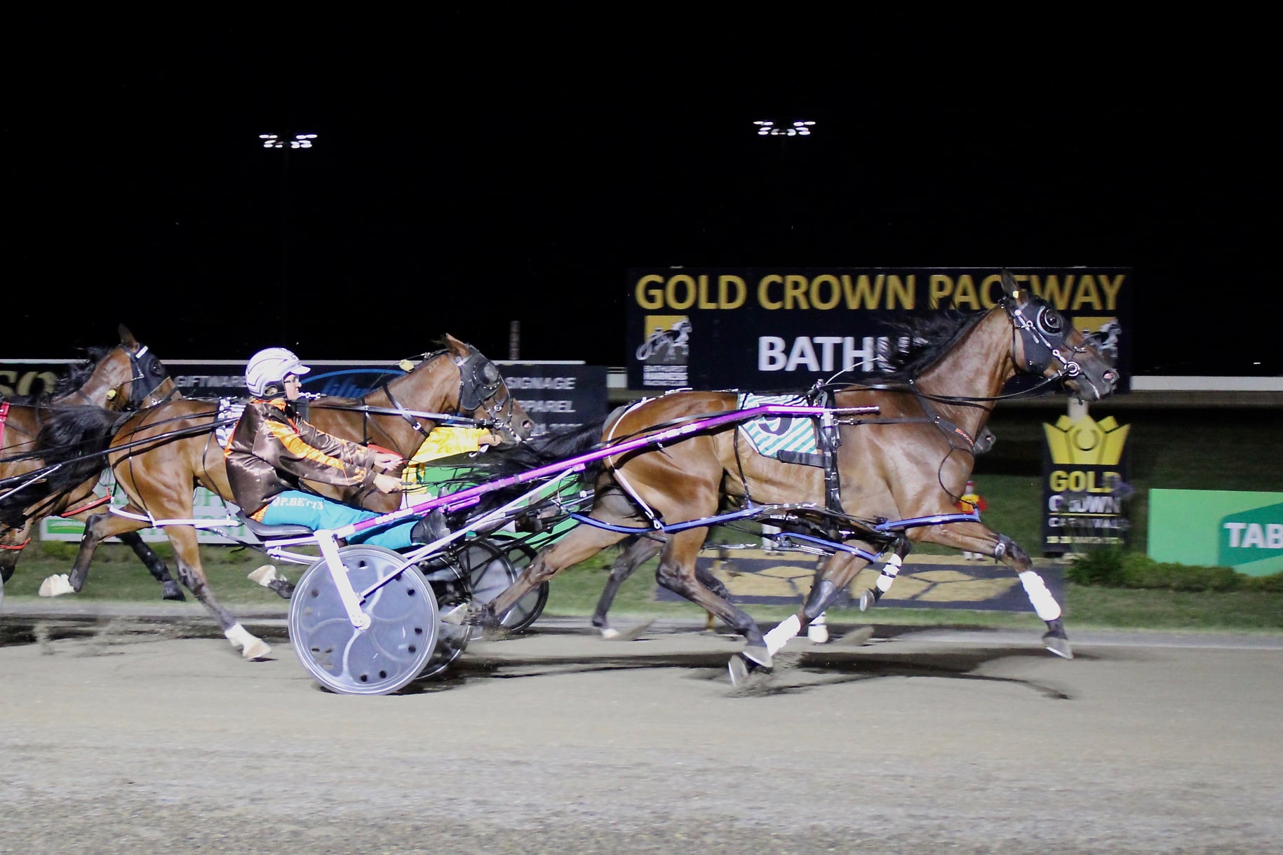 Bathurst Harness Racing Club