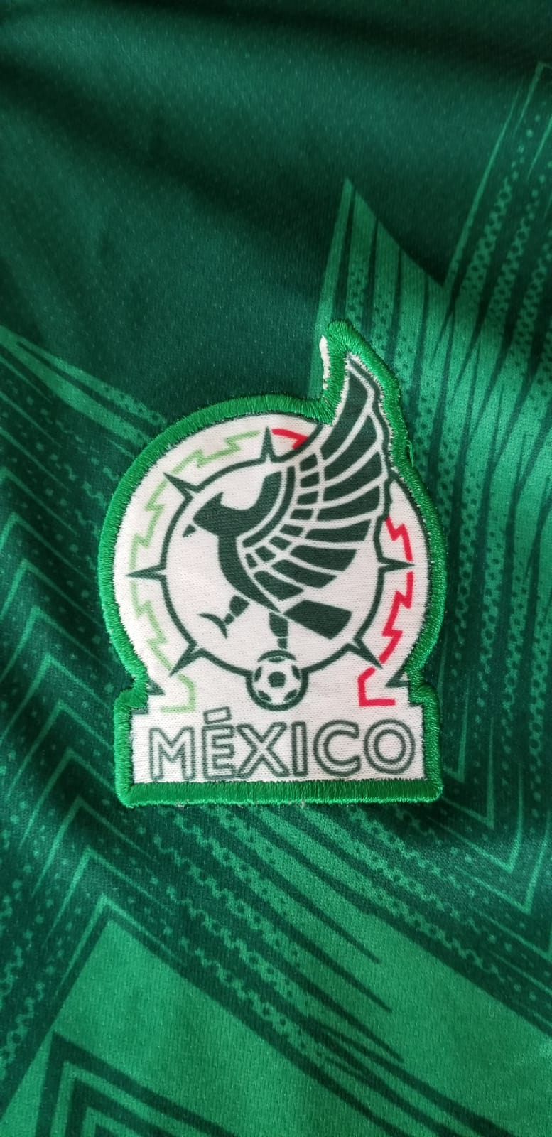 Escudo FEMEXFUT 2022