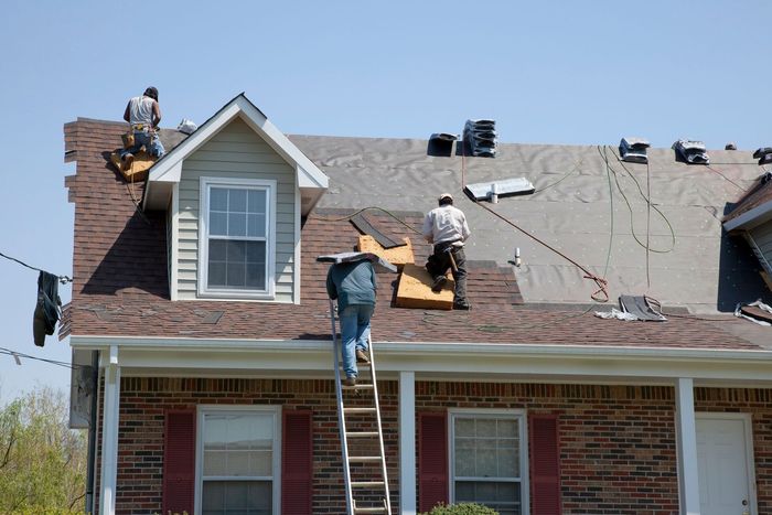 Roofers in work clothes are installing asphalt shingles on a multi-story brick house with a gabled roof.
