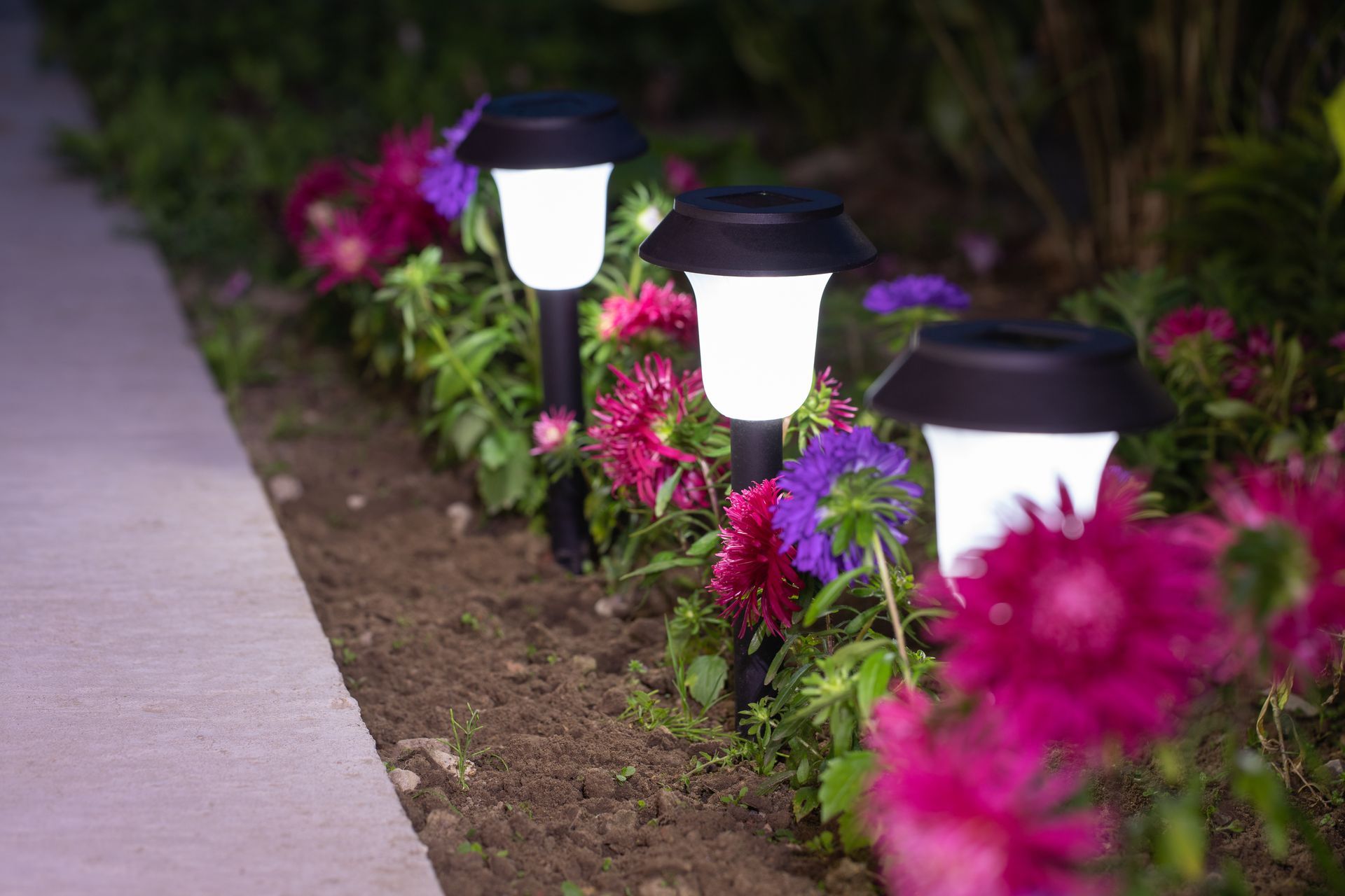 Garden path lined with glowing white solar lights and pink flowers at dusk
