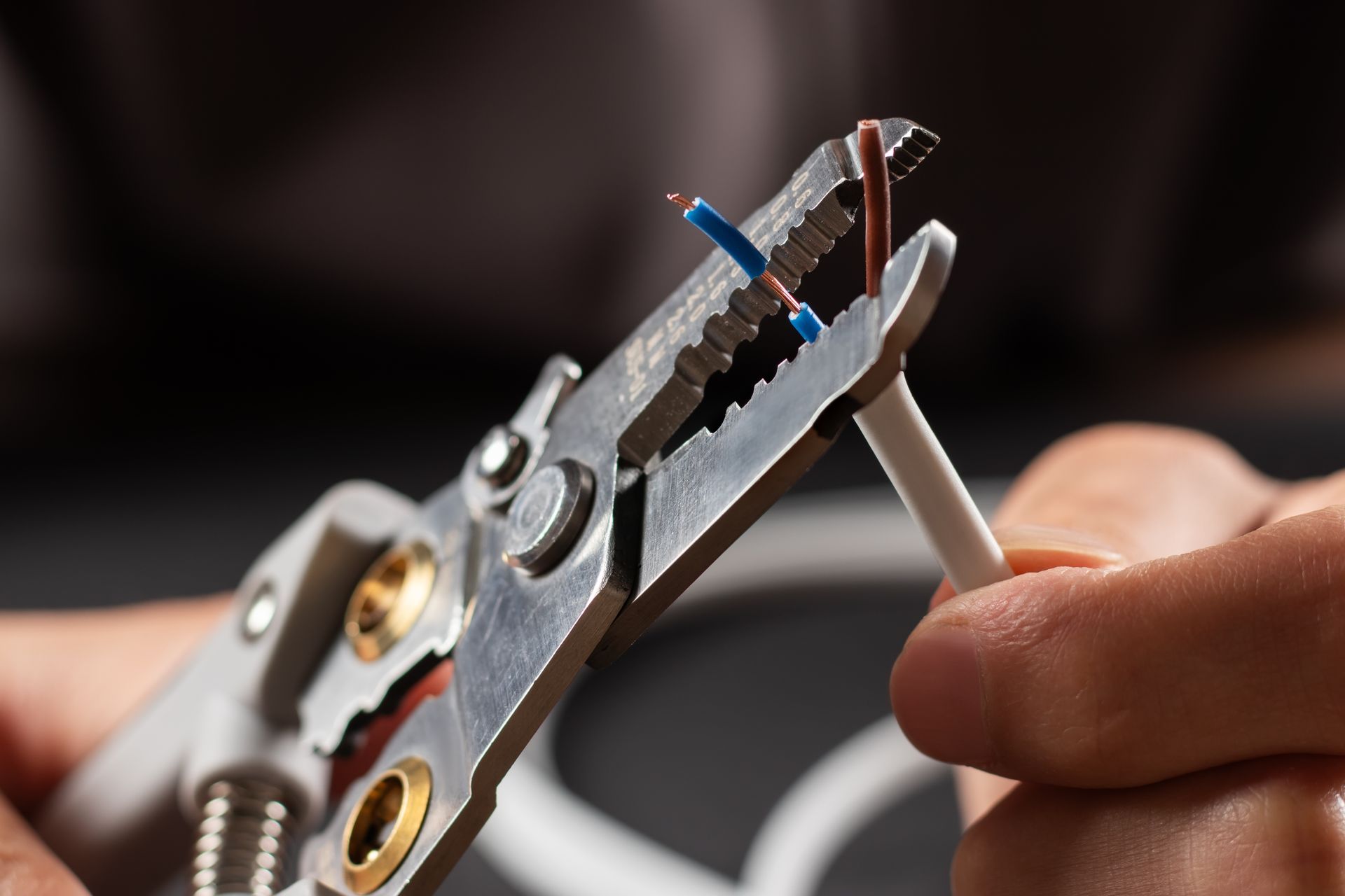 Wire stripper gripping a white cable with a blue insulated wire exposed