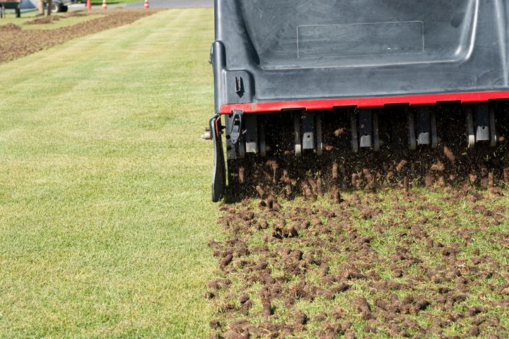 Lawn aerator on a grassy field, digging up dark soil behind it