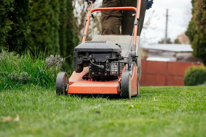 Person mowing a green lawn with an orange push mower near a hedge and sidewalk.